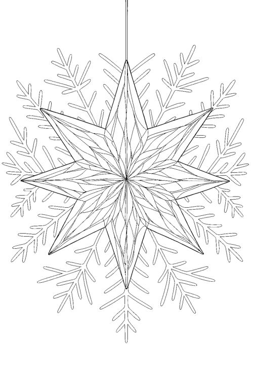 Christmas Enchanted Ornaments Coloring Book Page