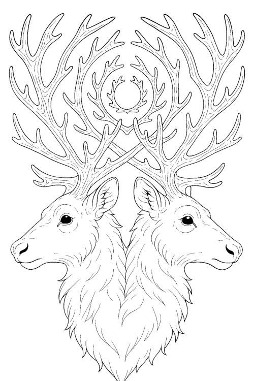 Christmas Enchanted Ornaments Coloring Book Interior