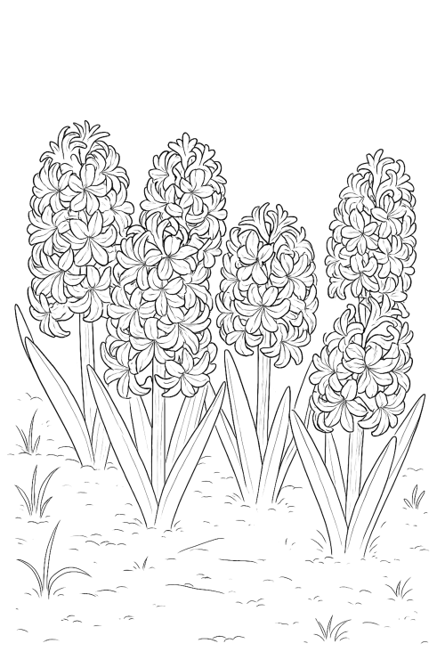 Spring Awakening Coloring Book Interior