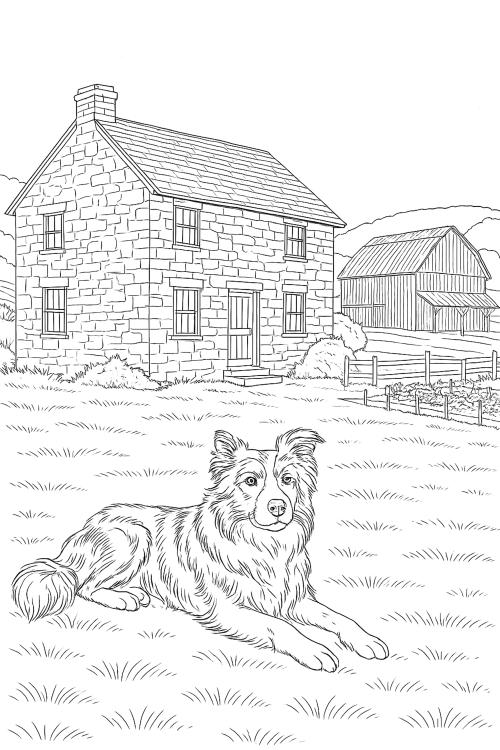 Western Rural Houses Coloring Book Interior