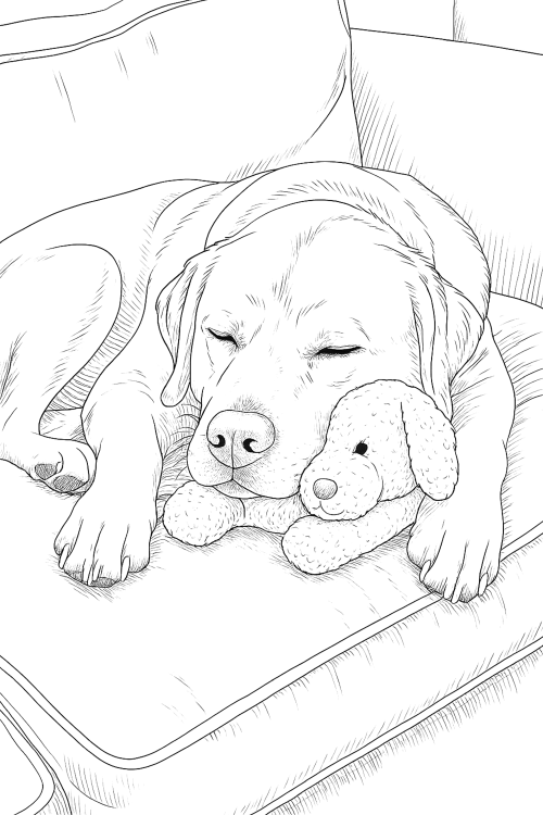 Labrodors Moments Coloring Book Example