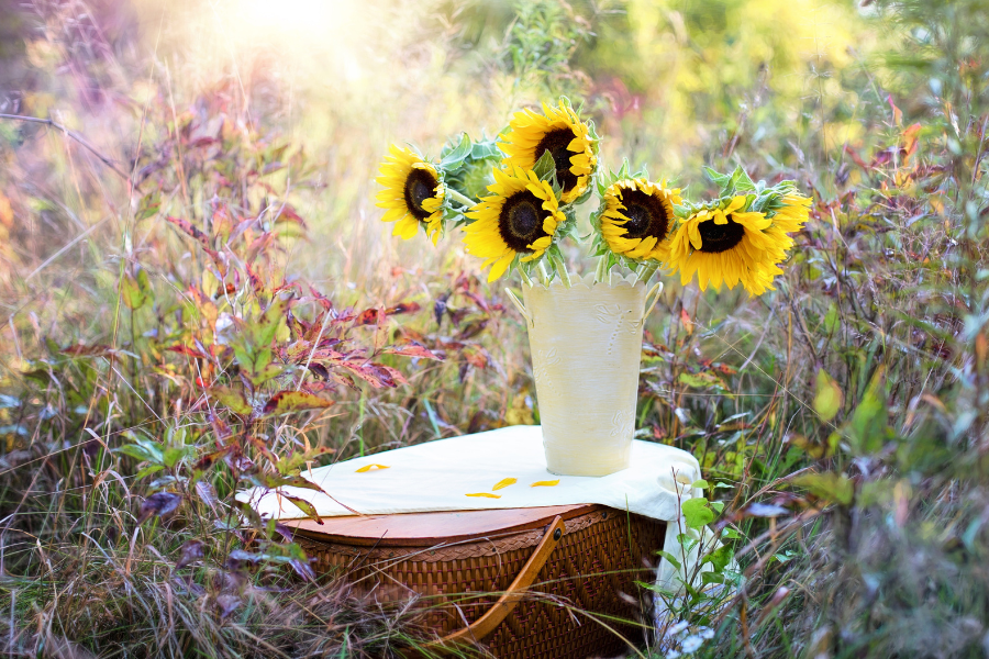 Arranging a Funeral in the UK: What to Do, When to Do It, and What to Expect