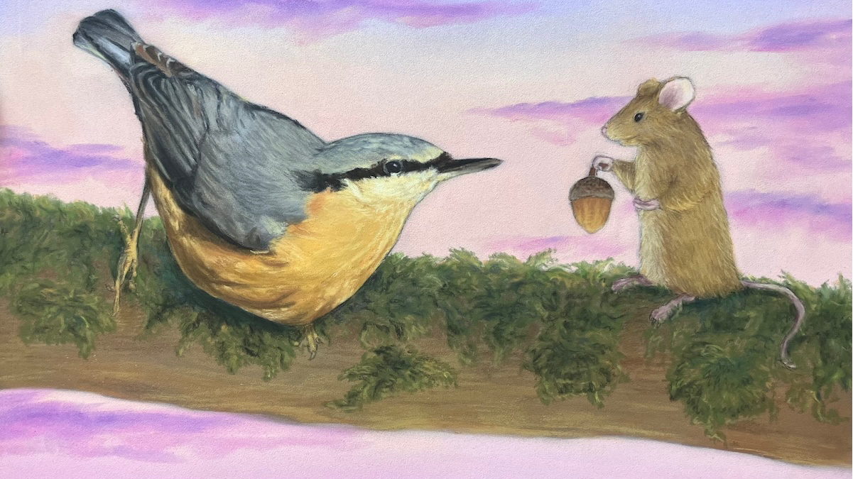 Mus håller fram ekollon till nötväcka.