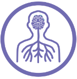 Nervous system icon
