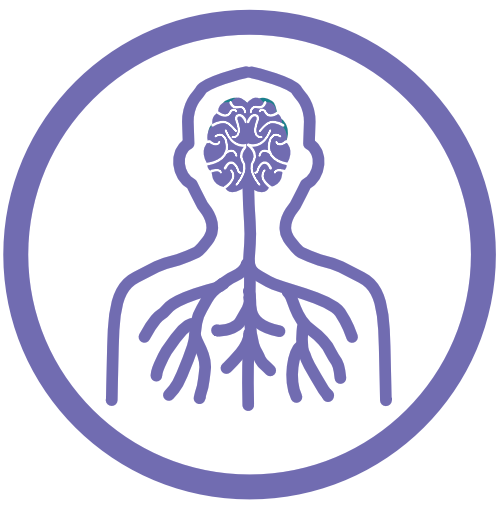 Nervous system icon