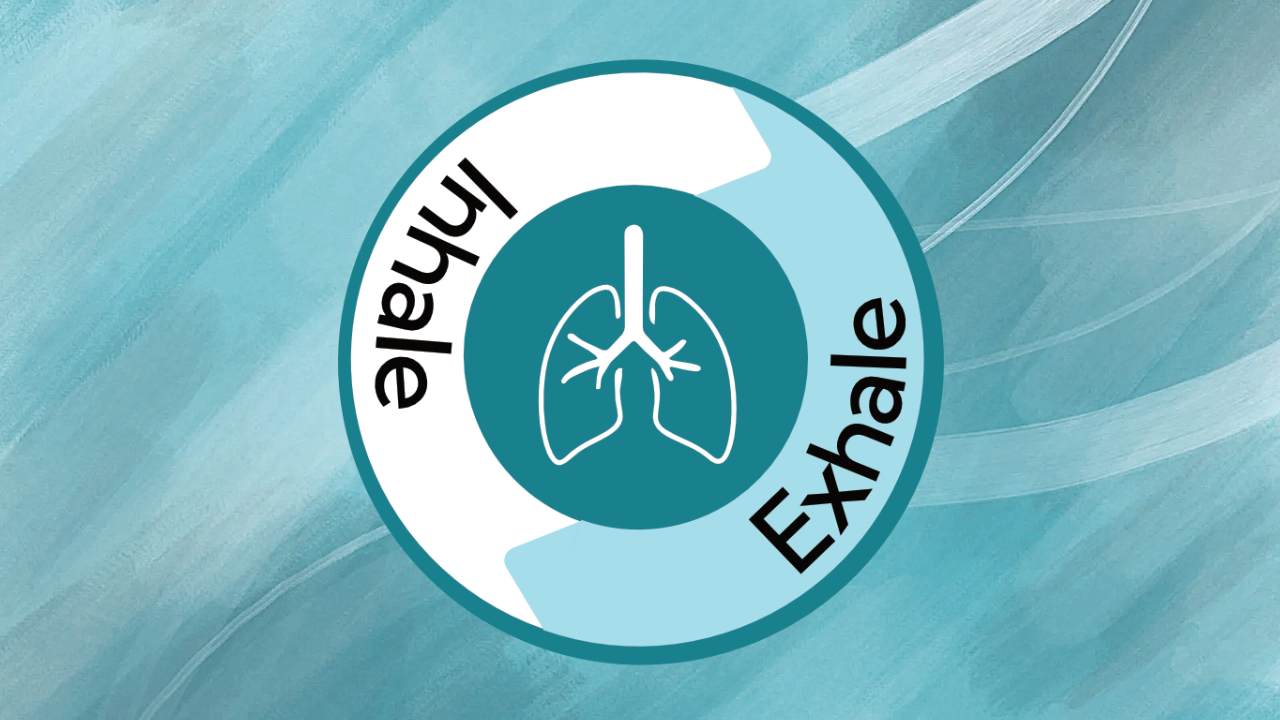 What's a conscious connected breathwork session like?