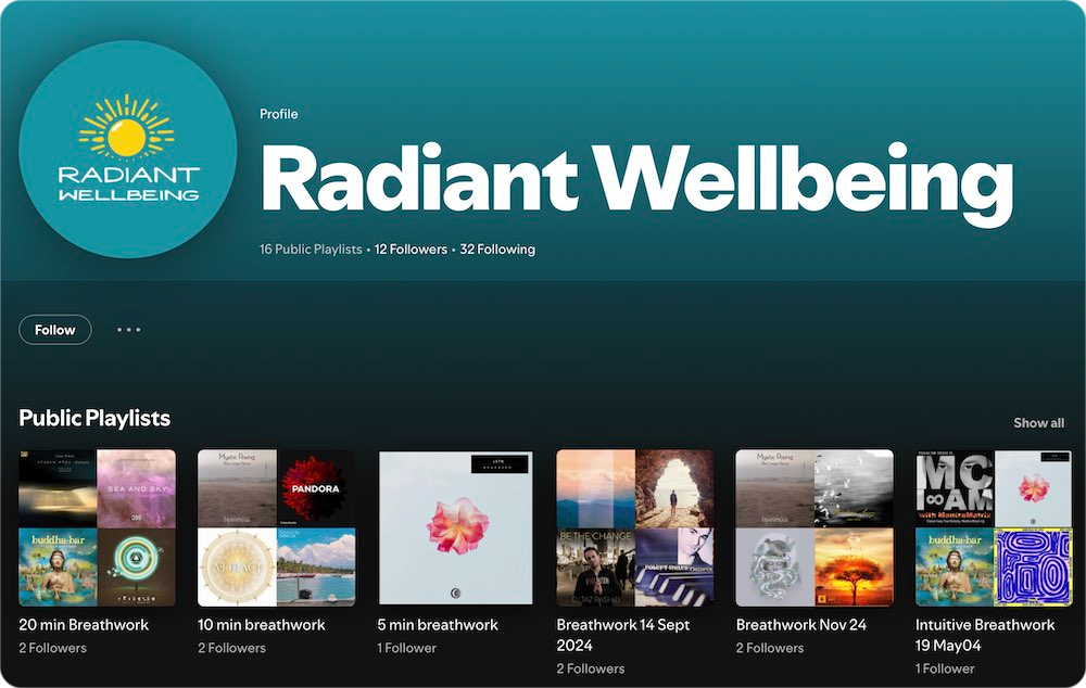 Spotify screenshot of playlists