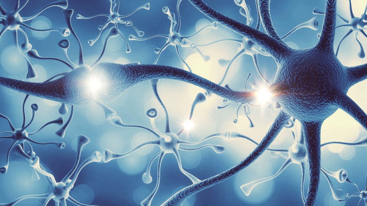 Unlock the superpower you didn’t know you had: Neuroception