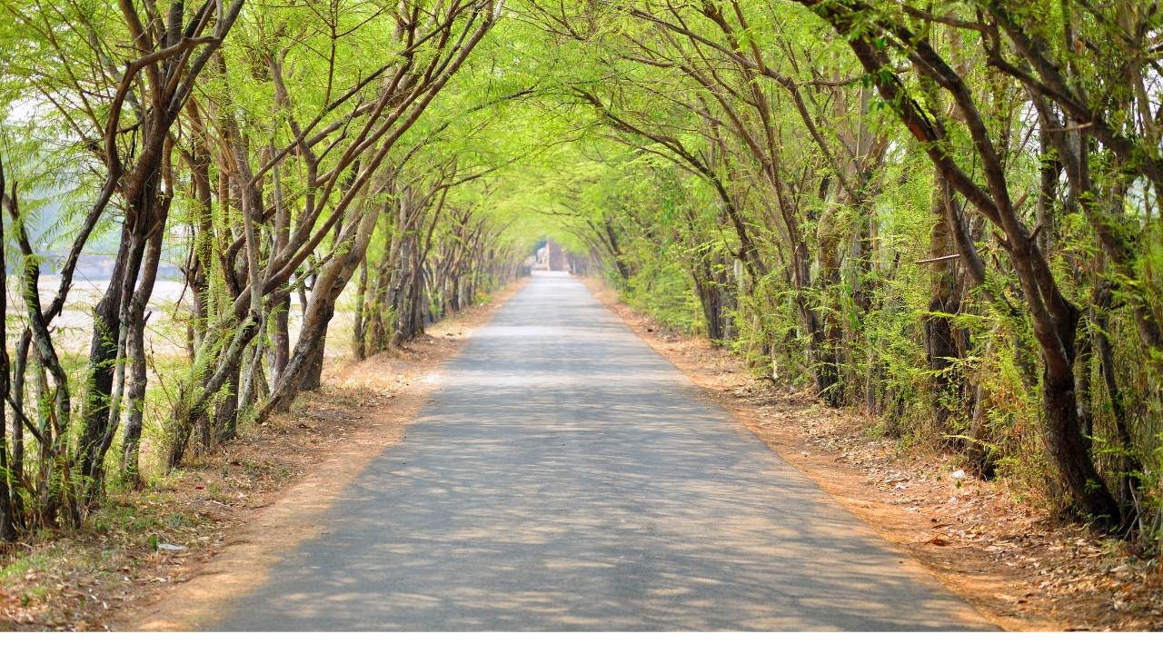 Unlocking the power of breath: My personal journey