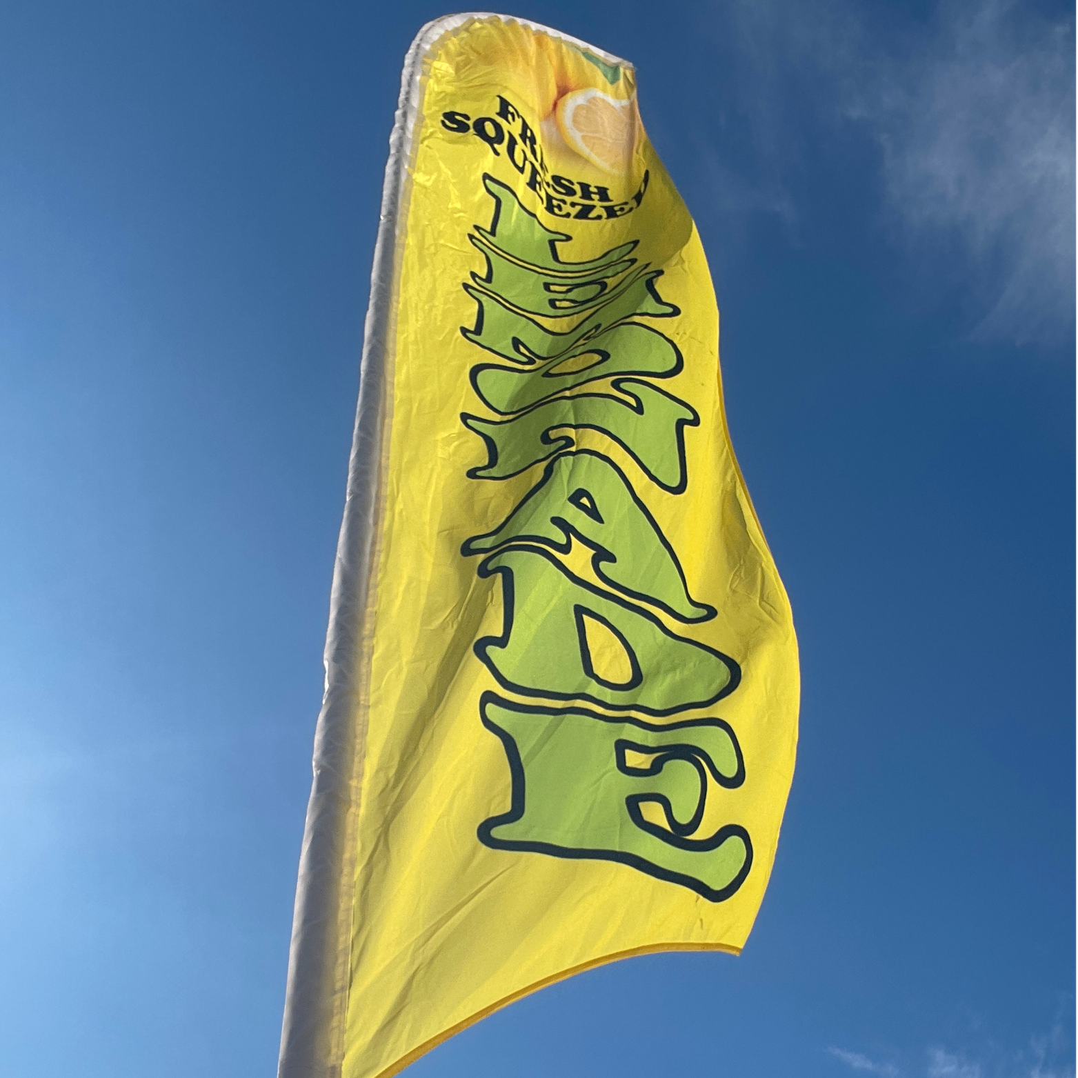 How My Health Coaching Roots Shaped the Way I Make Lemonade