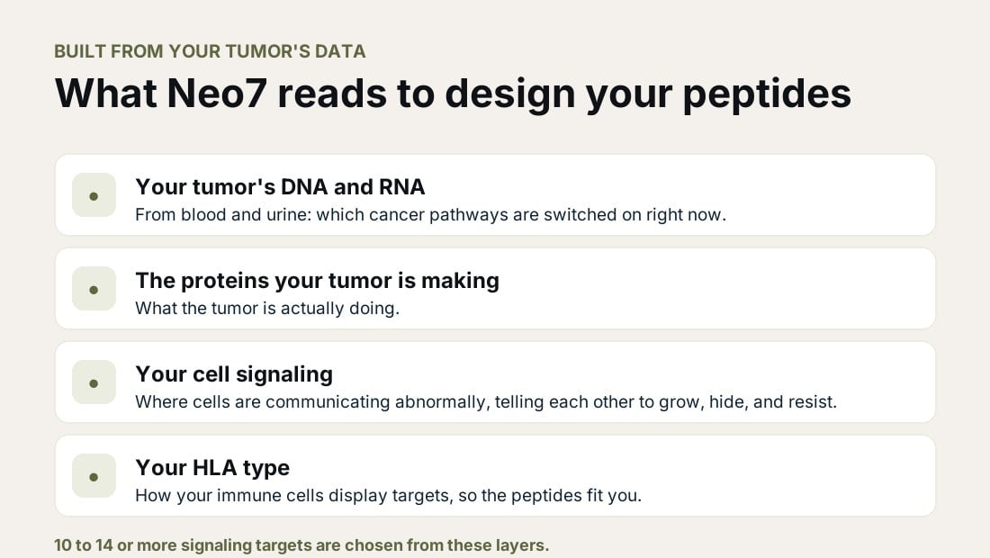 What Neo7 reads to design your peptides: your tumor's DNA and RNA, the proteins it makes, your cell signaling, your HLA type
