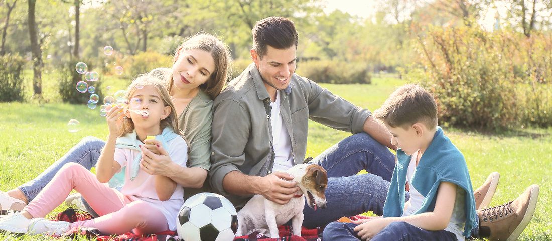 A family sitting together on the grass blowing bubbles