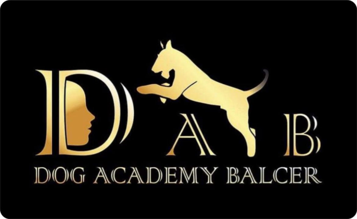 Witaj w Dog Academy Balcer!
