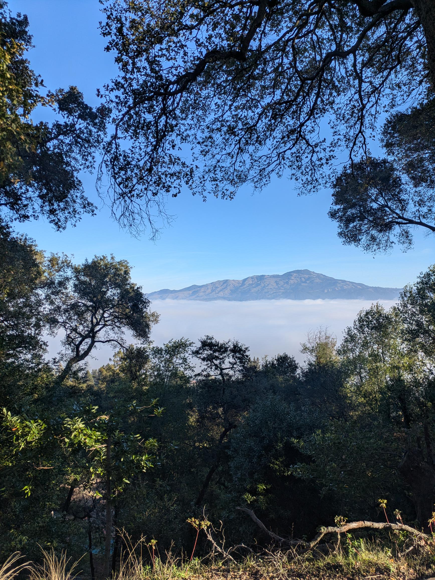 Finding Healing: My Experience at San Damiano's Grief Retreat