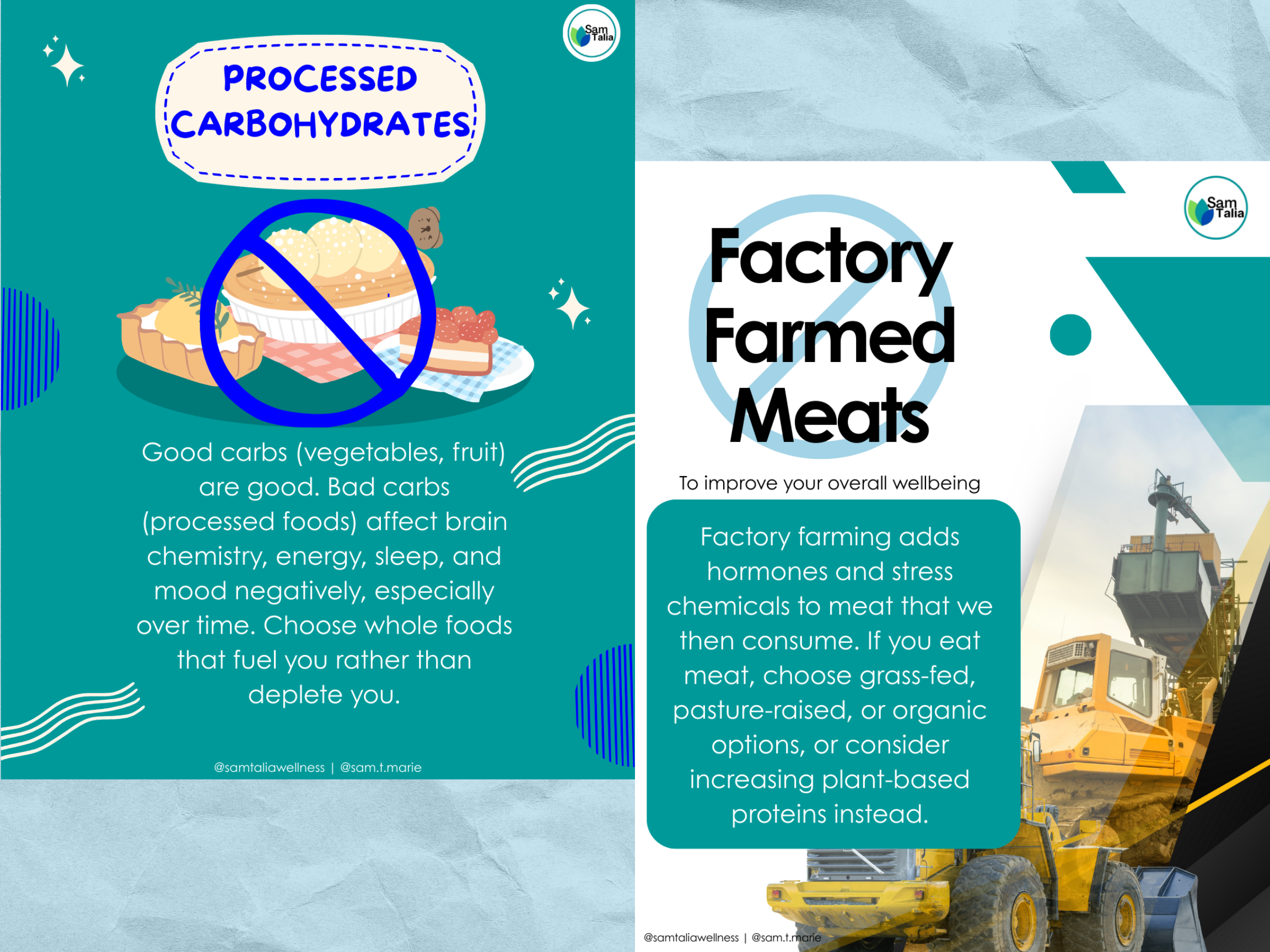 graphics of processed carbohydrates and factory meats