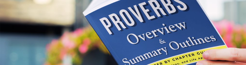 Proverbs Overview & Summary Outlines The Lumens Series Bible Study Tools by Faith S. Lumens