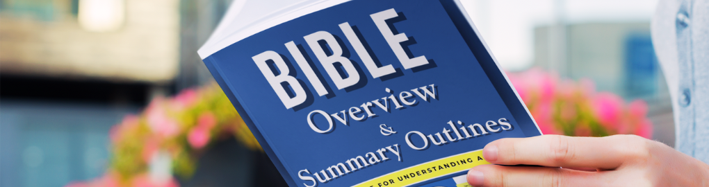 Bible Overview & Summary Outlines The Lumens Series Bible Study Tools by Faith S. Lumens
