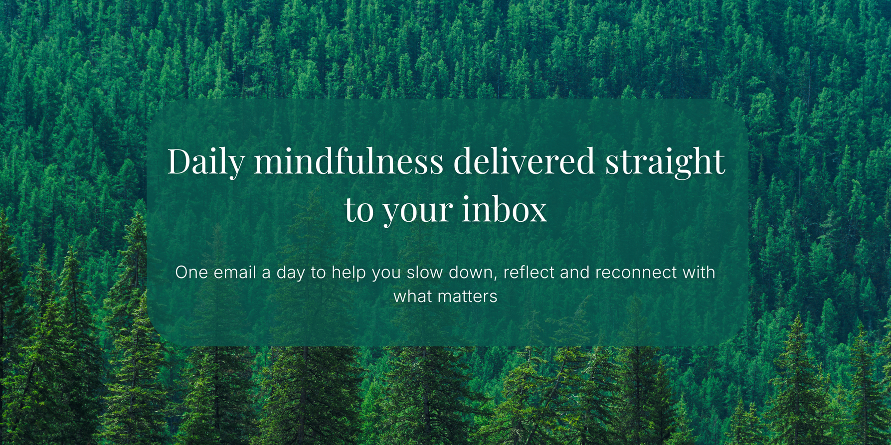 forest background with words 'daily mindfulness delivered straight to your inbox'