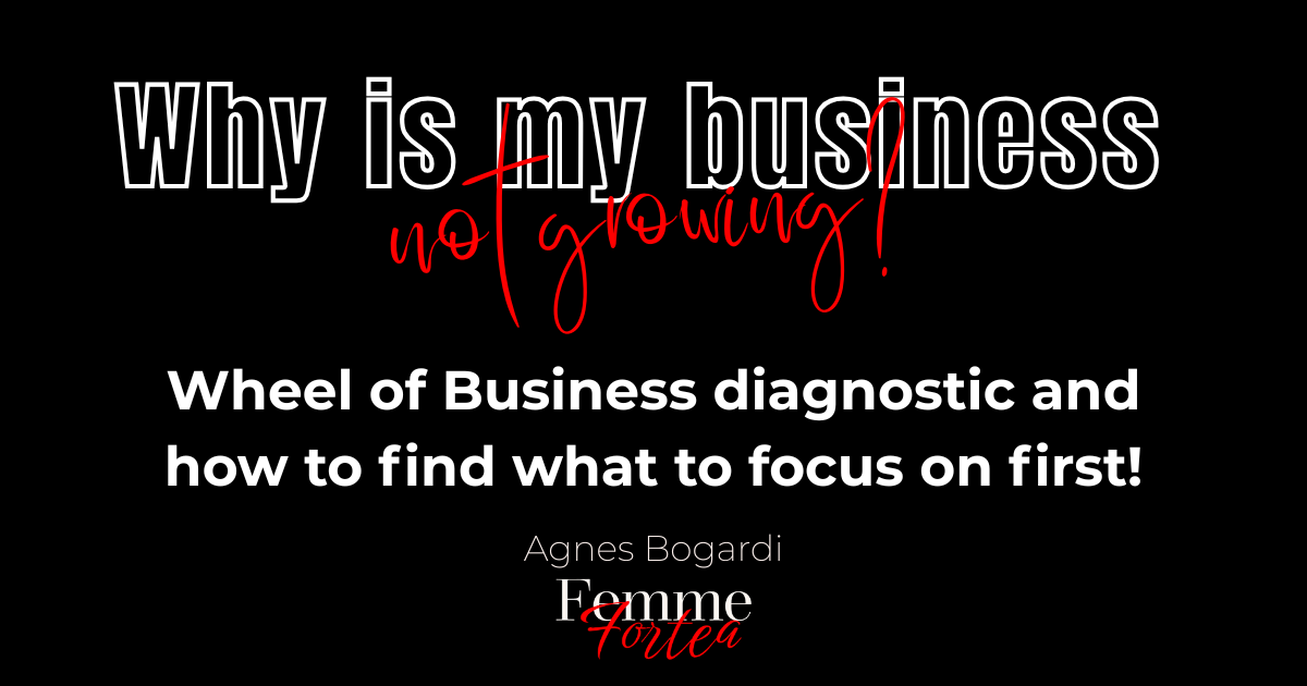 Why is my business not growing — the Wheel of Business diagnostic and how to find what to focus on first