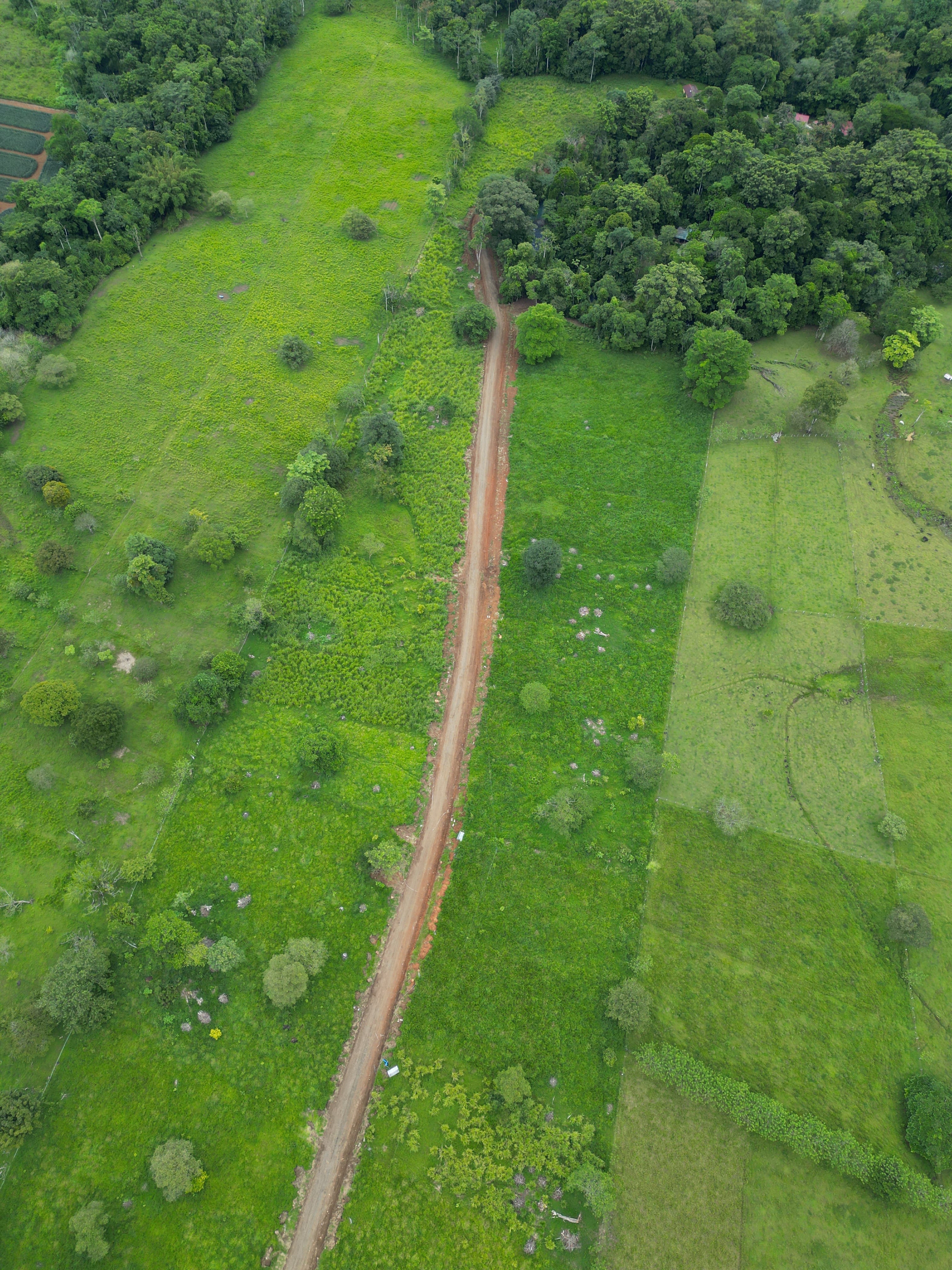 Lush vegetation · Río Celeste Oasis