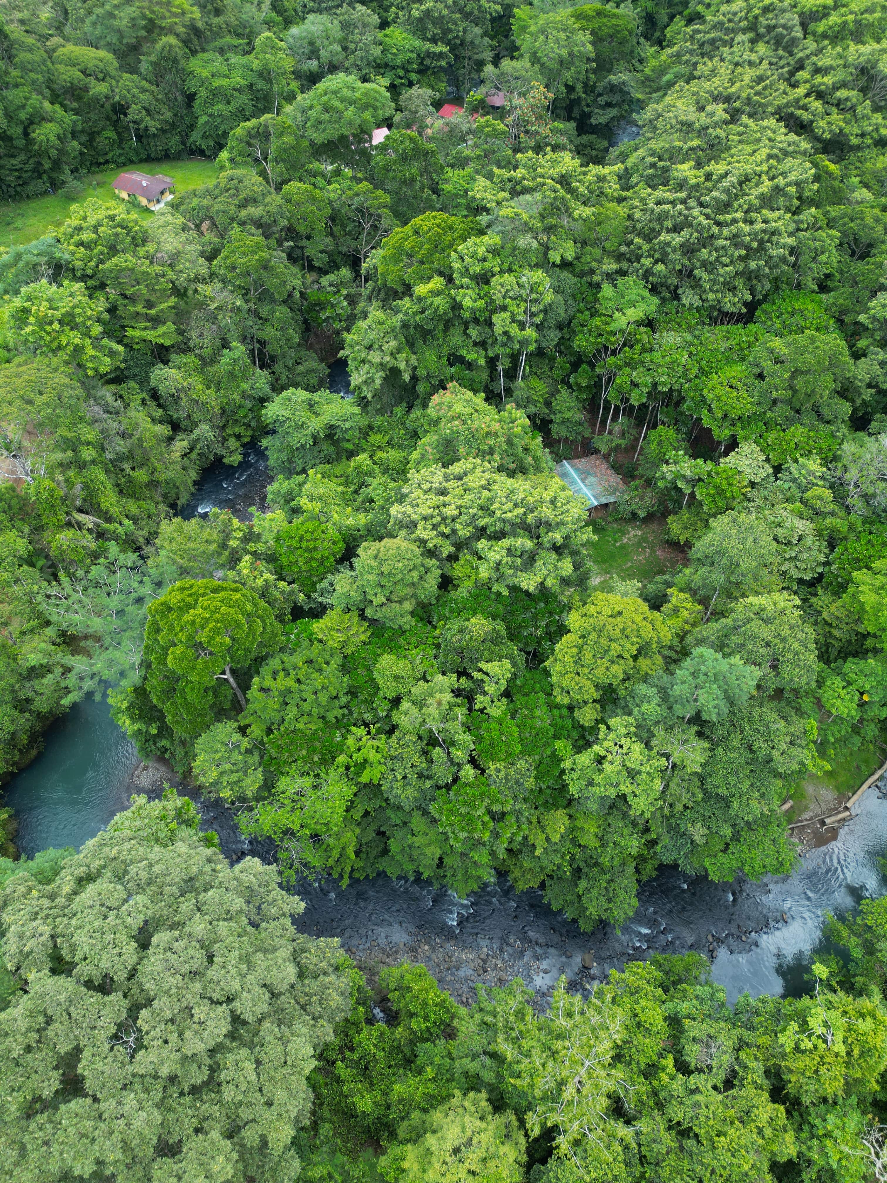 Aerial view · Río Celeste Oasis