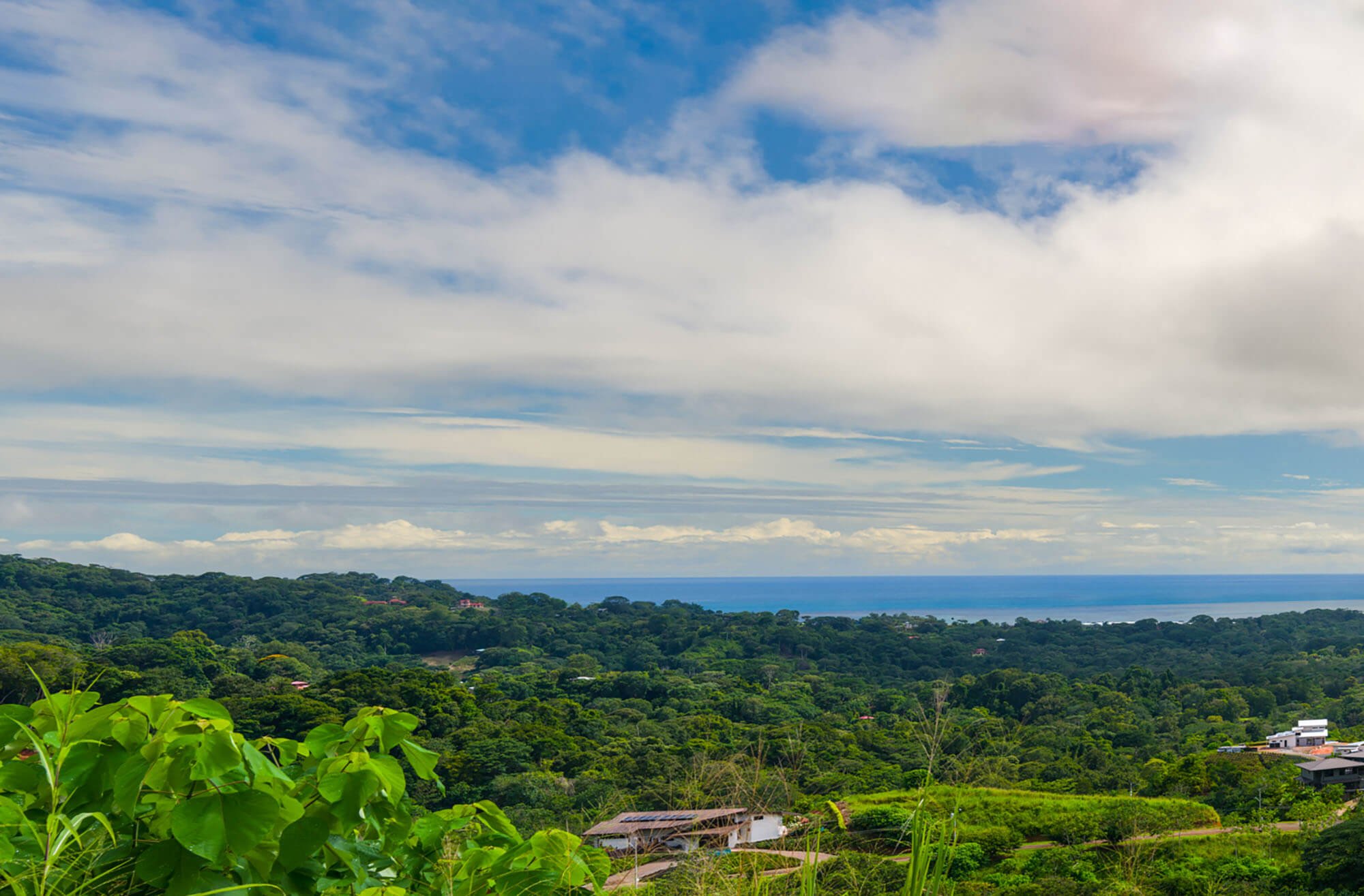 Panoramic view of Costa Rica's Osa Peninsula showing lush tropical landscape meeting the Pacific Ocean horizon