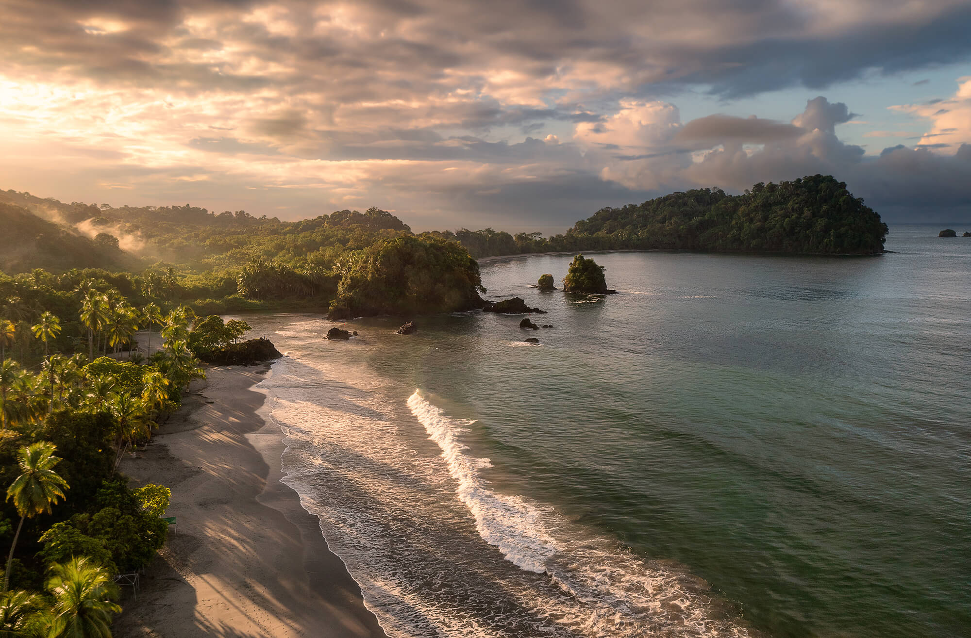 Coastal sunset with palm-lined beach and jungle cliffs