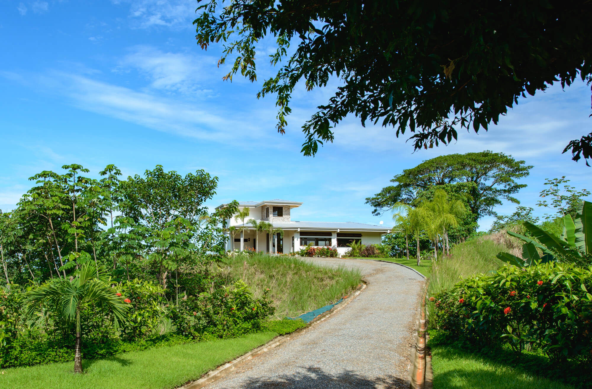 Modern white home surrounded by tropical rainforest at Rainforest Living