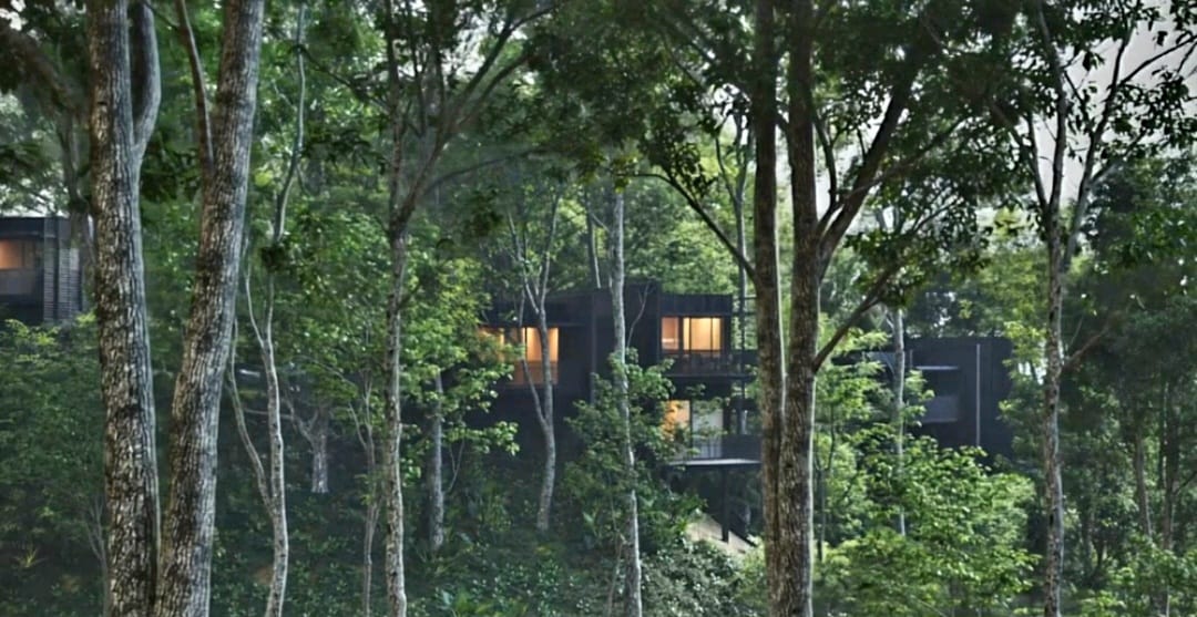 Residence above the rainforest canopy
