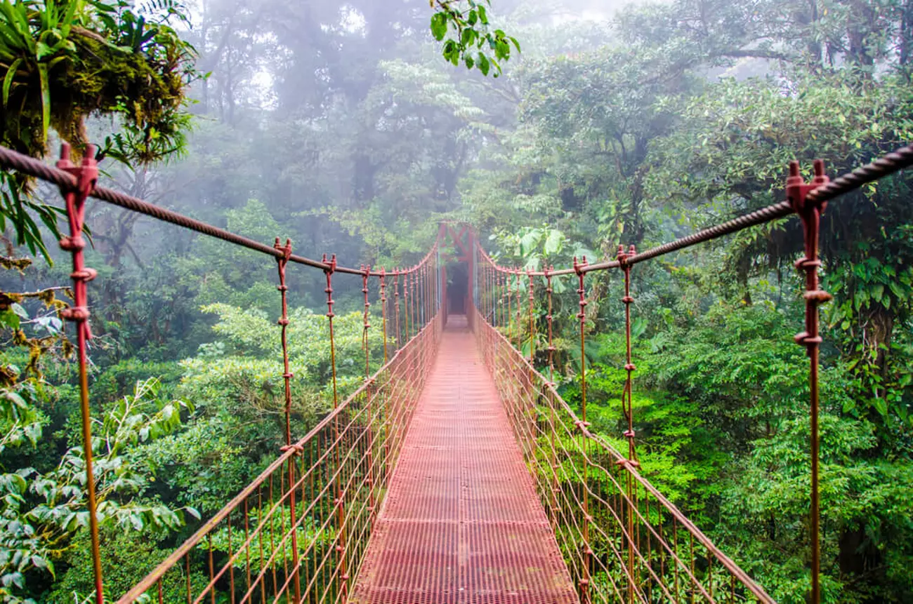 Suspension bridge in Costa Rica rainforest