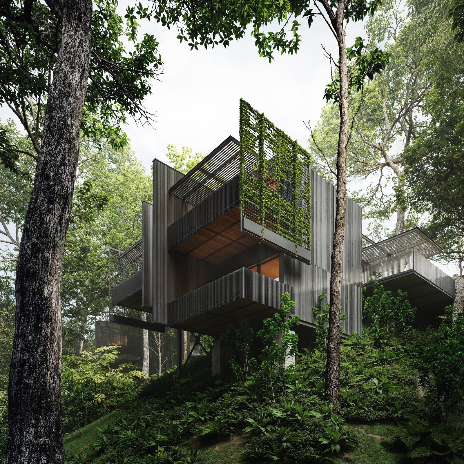 Side view of home cantilevered over forest