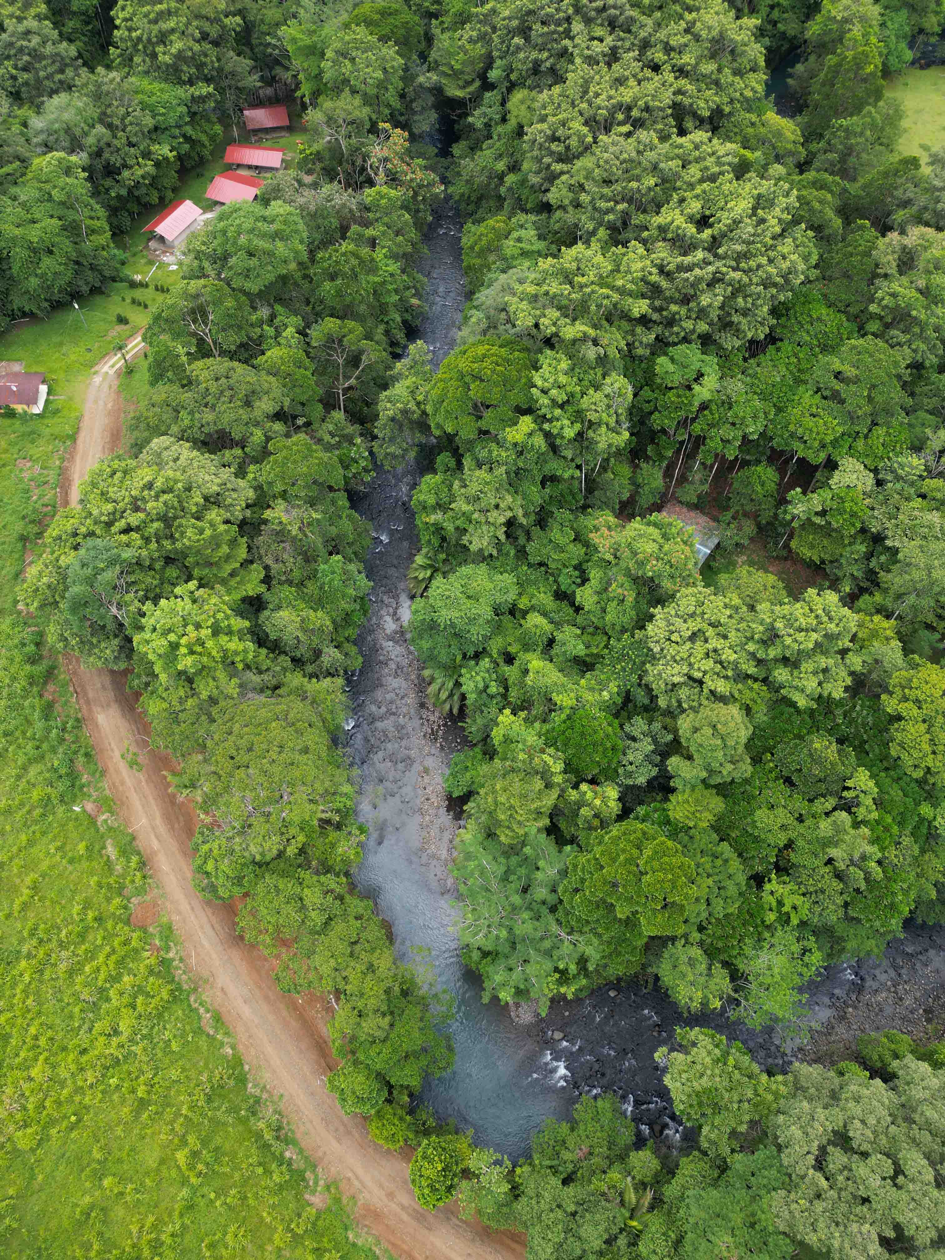 Río Celeste · turquoise water
