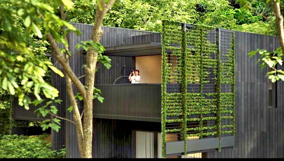 Forest eco-luxury rainforest development