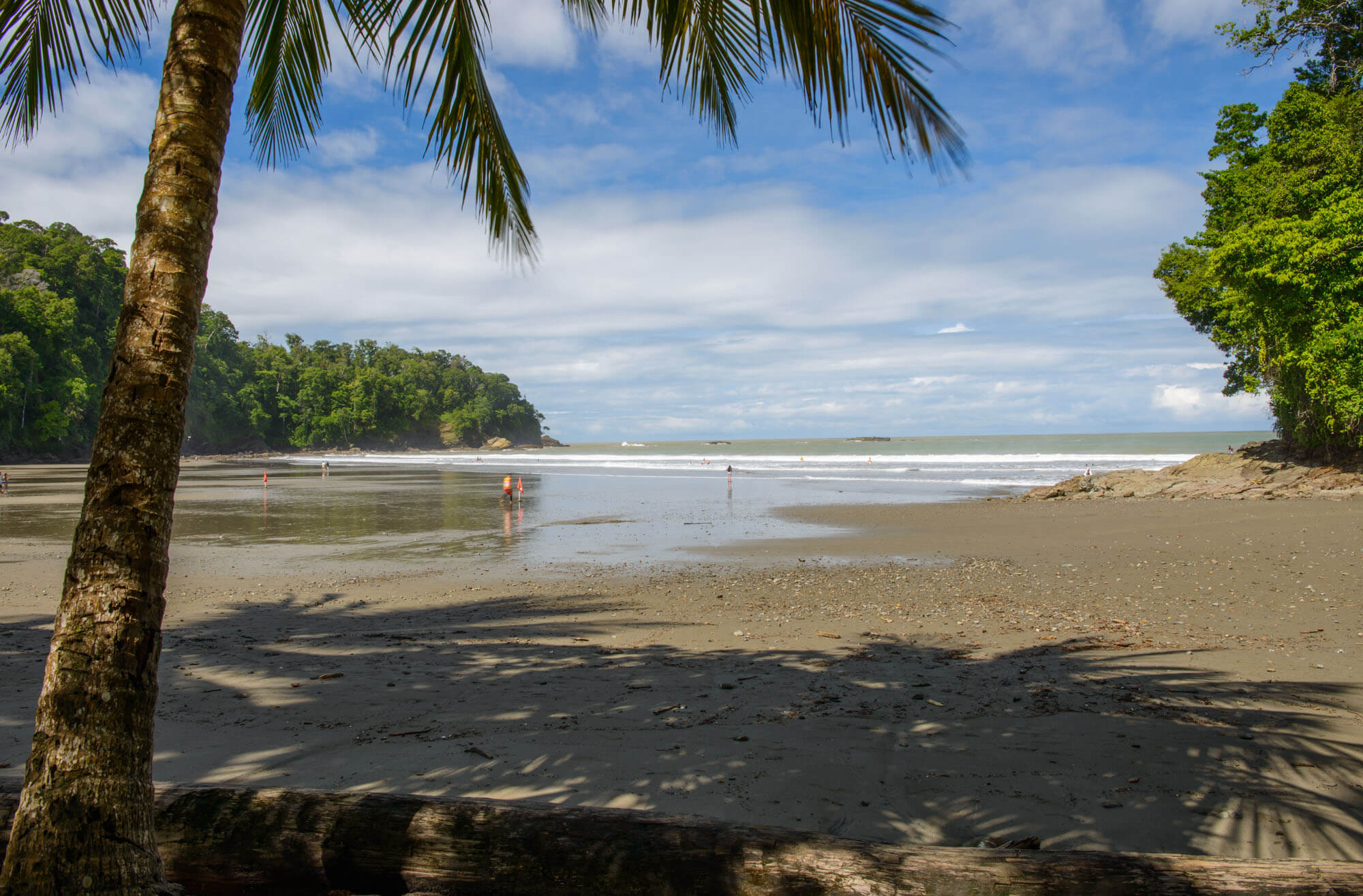 Pristine tropical beach with calm waters and palm trees