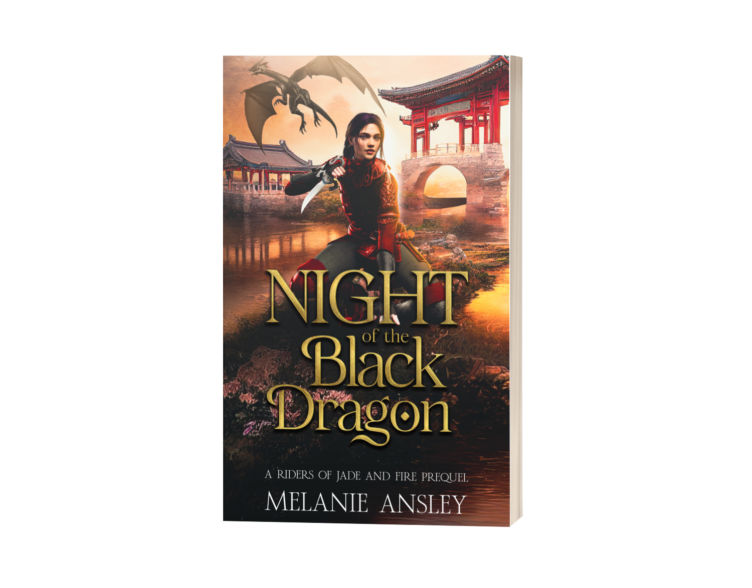 Night of the Black Dragon book cover