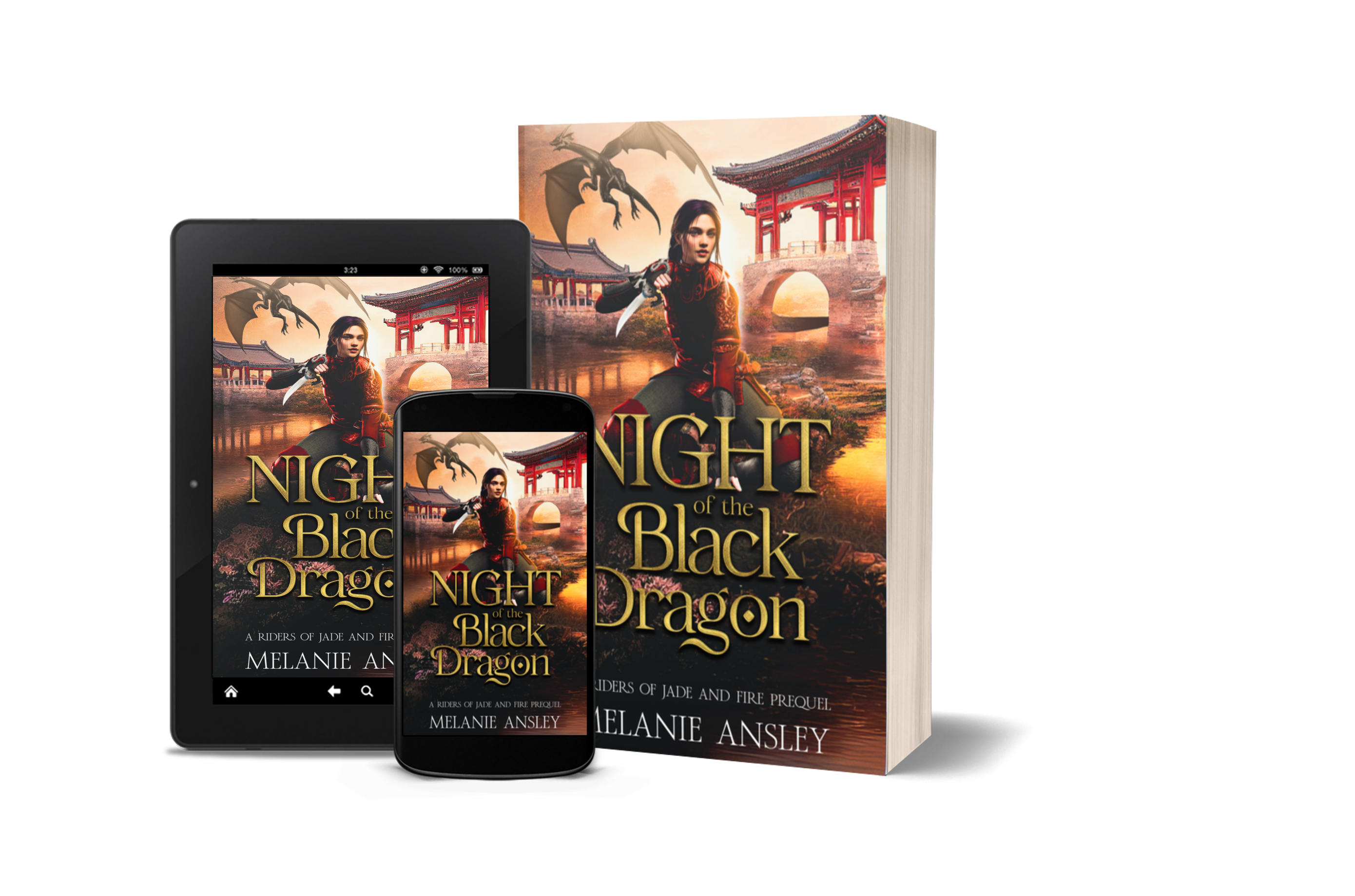 Night of the Black Dragon book covers composite