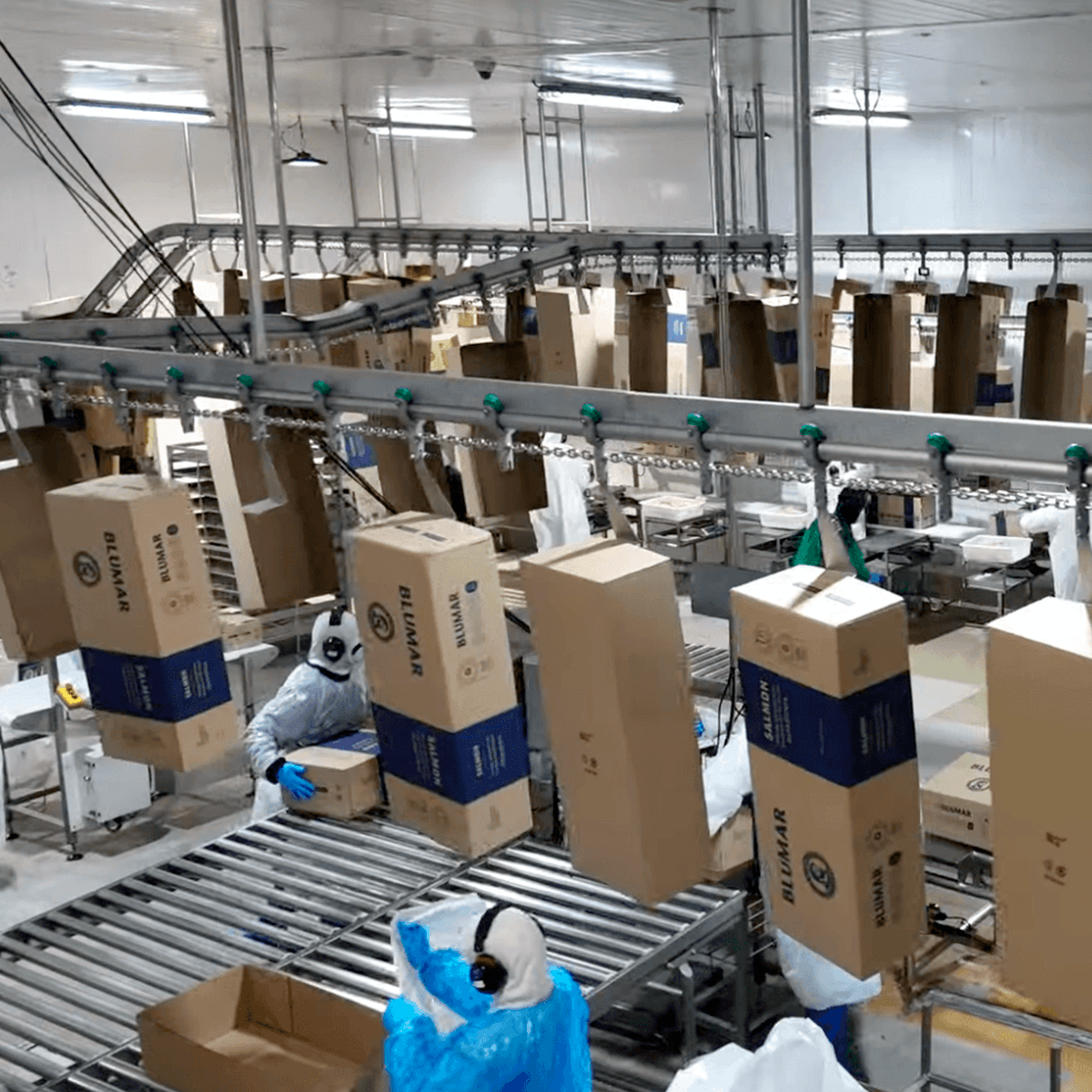 Carrilera de empaque aporta orden, seguridad e innovación