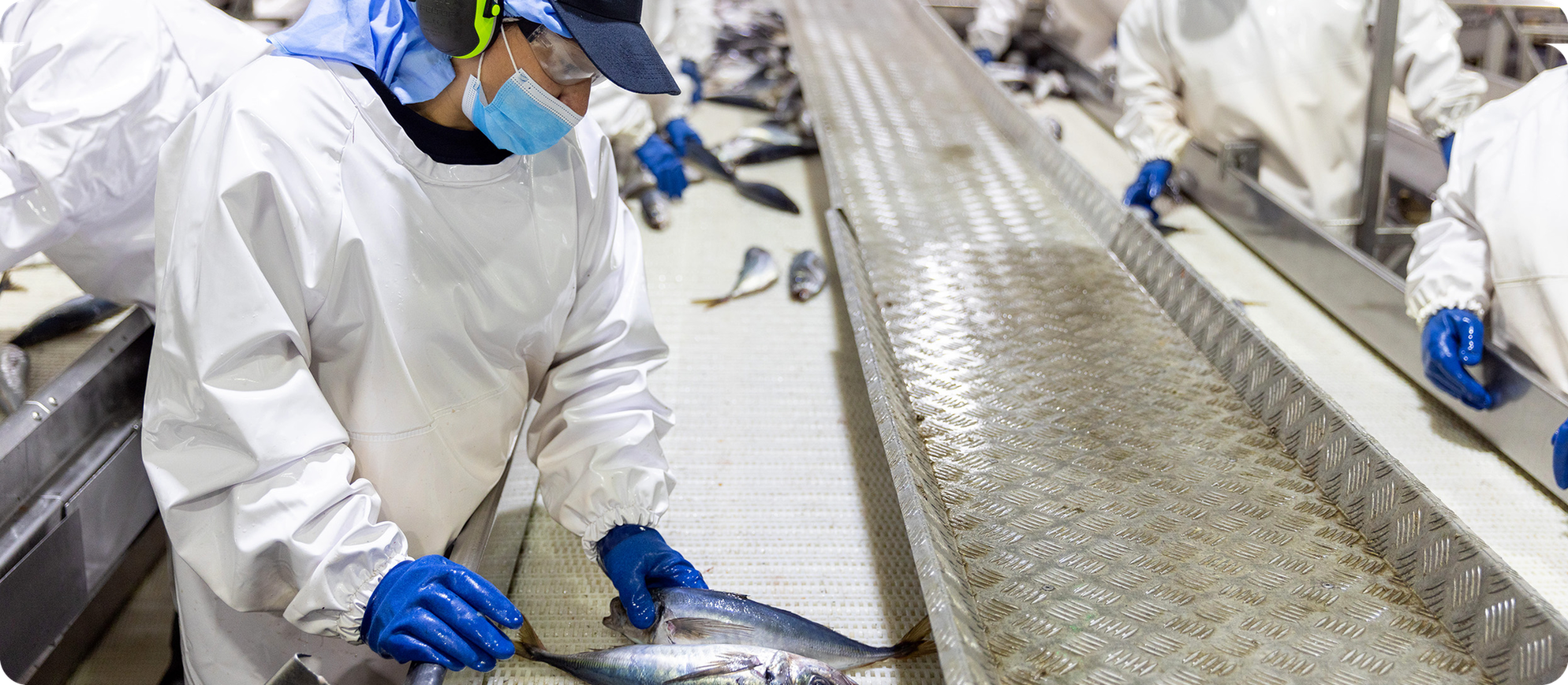 Reconocimientos Faro: Meta de descarte cero