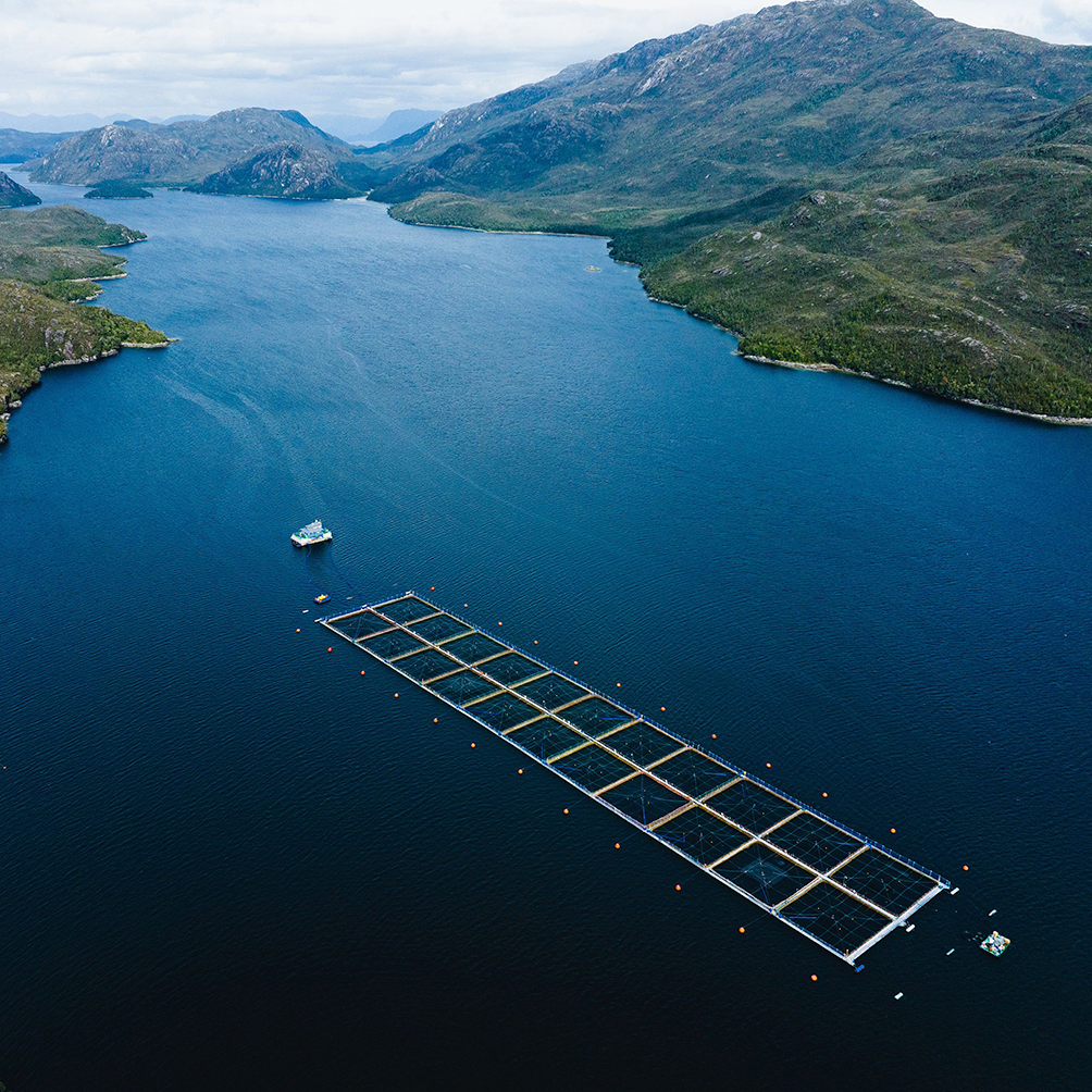 Innovación marina: autonomía que genera eficiencia