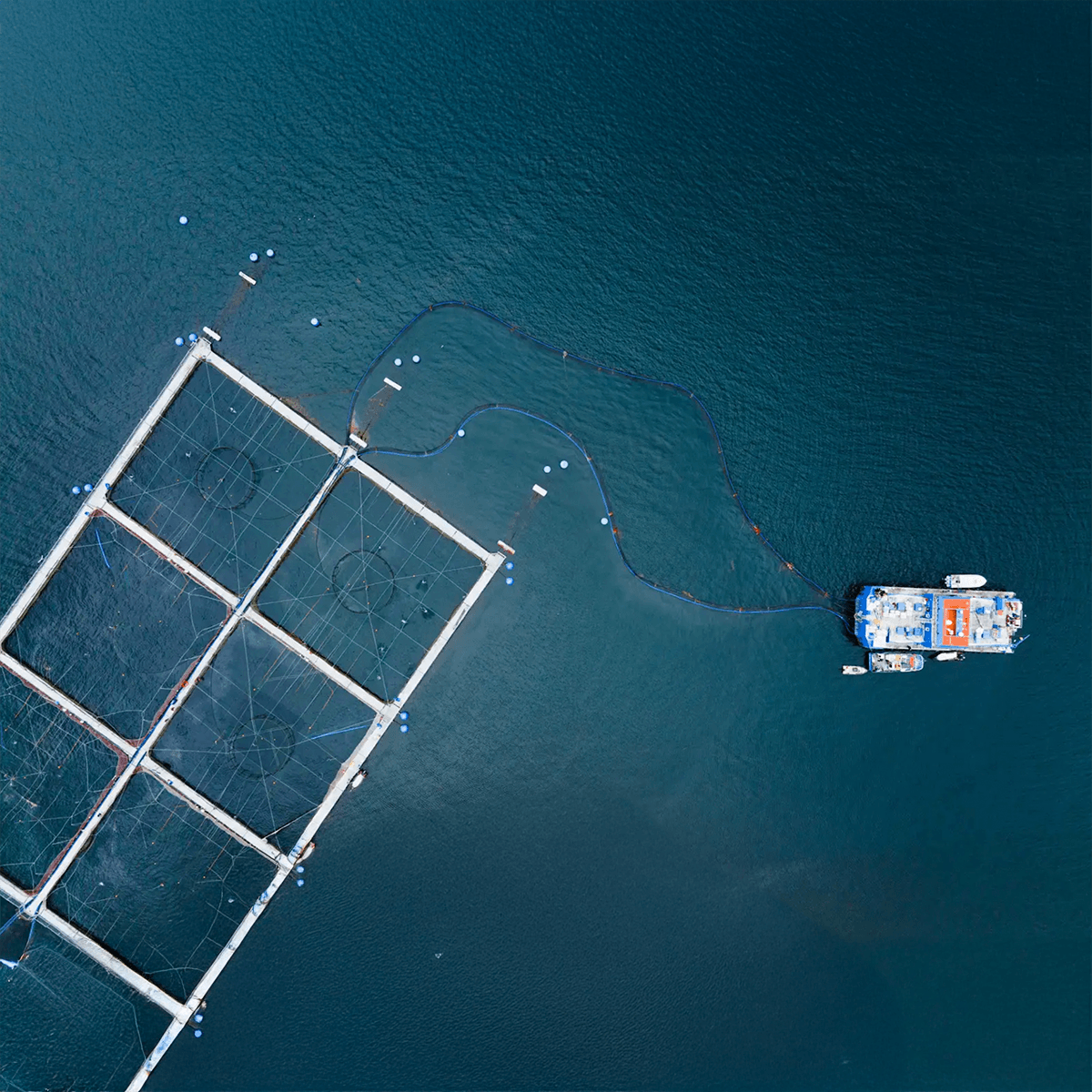 Licitación estratégica de estudios oceanográficos reduce costos del servicio en 45%