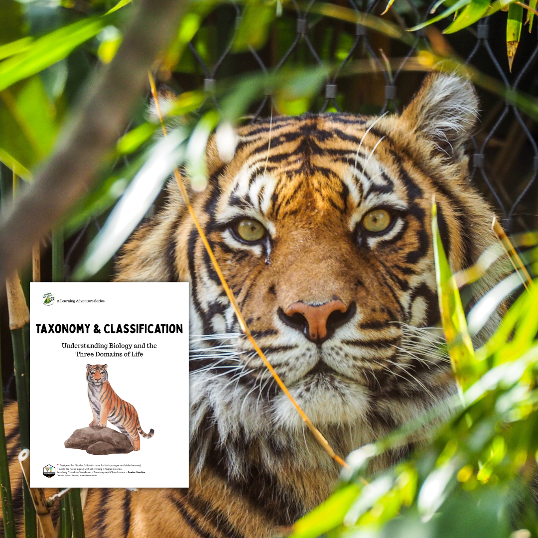 Taxonomy and Animal Classification Unit for Grades 5–9