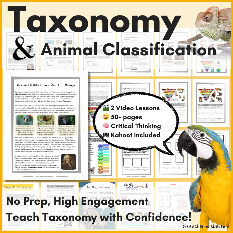 Interactive worksheet for classifying animals based on traits, used in outdoor or classroom taxonomy lessons