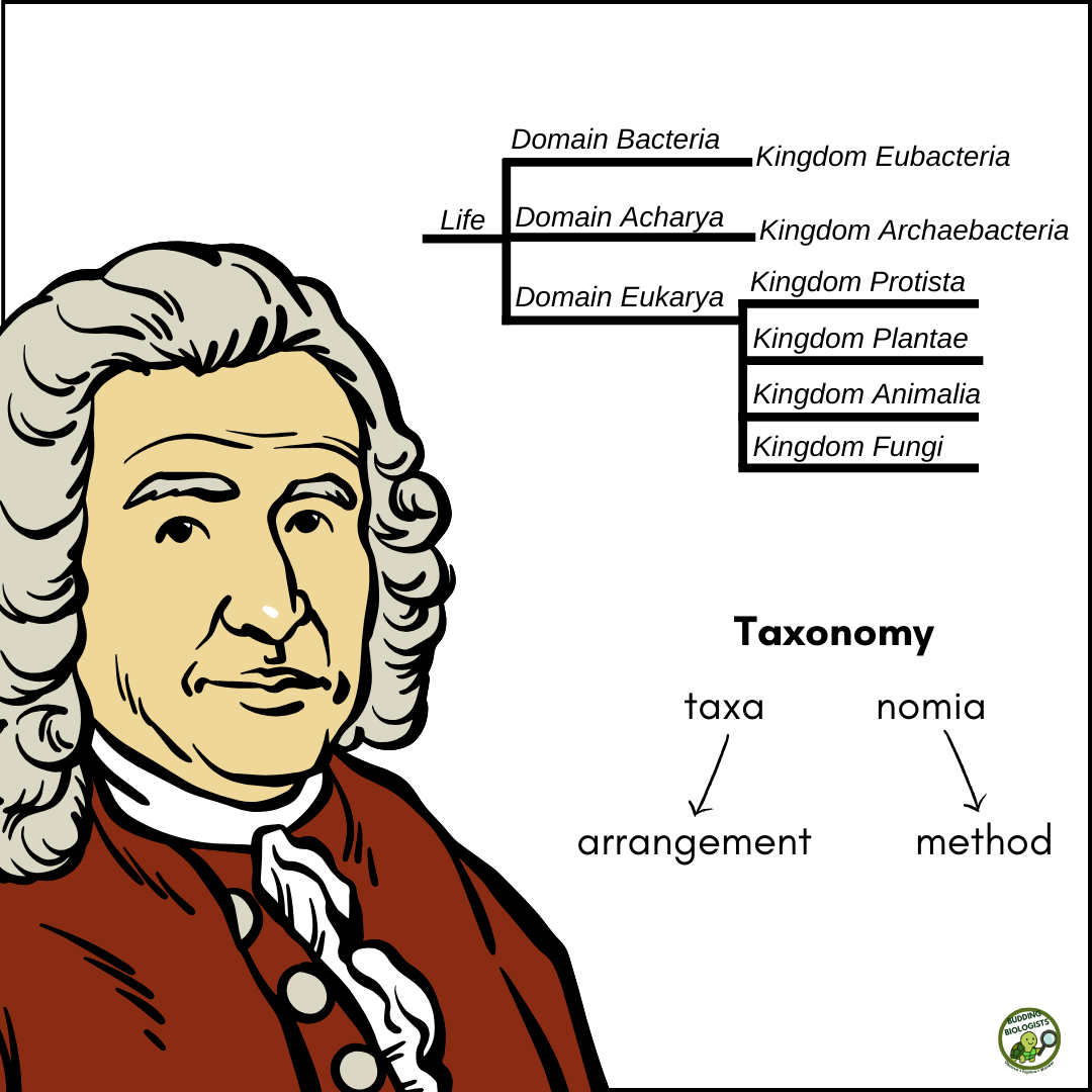Taxonomy and Animal Classification Unit for Grades 5–9