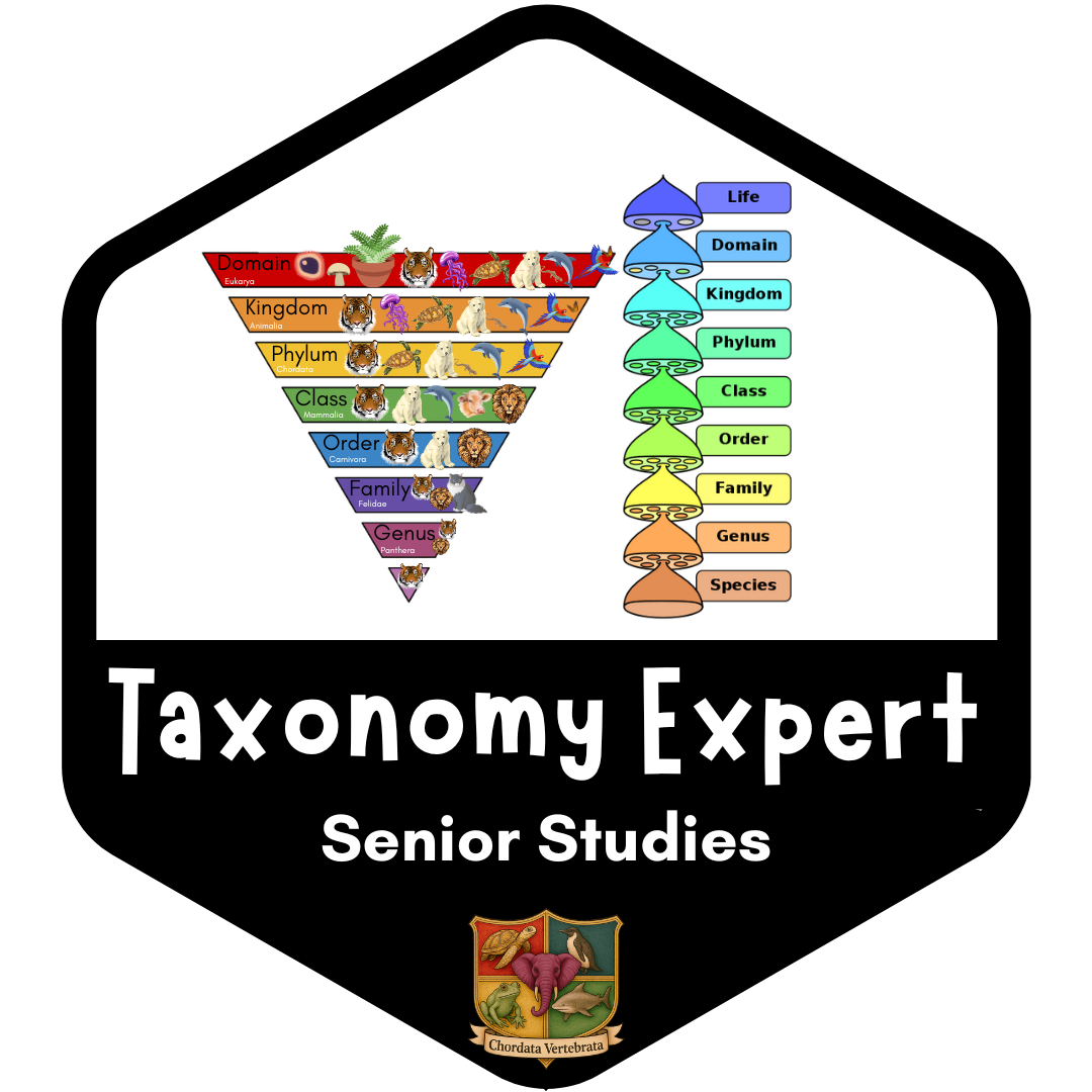 Taxonomy and Animal Classification Unit for Grades 5–9
