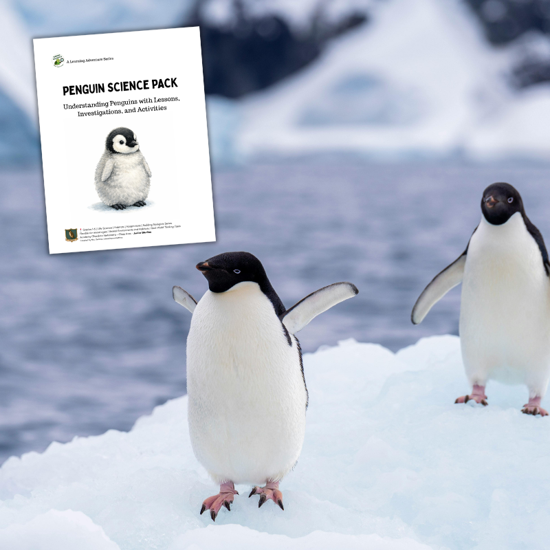 Penguin science pages