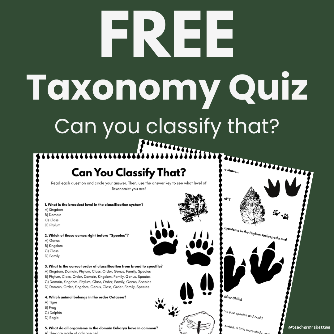 Interactive worksheet for classifying animals based on traits, used in outdoor or classroom taxonomy lessons