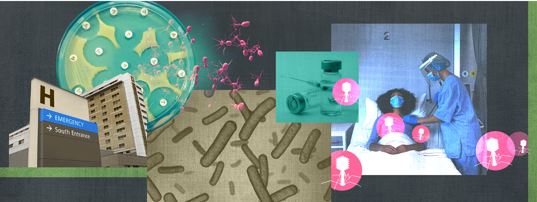 Antibiotic resistance is a serious problem, especially in hospitals. Could an old, disused therapy involving viruses offer a way to counter it? CREDIT: KNOWABLE MAGAZINE