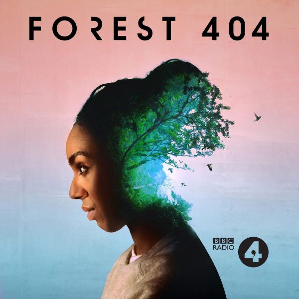 Forest 404 cover art