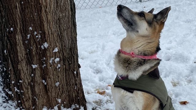 Looking Up, Not Just Around