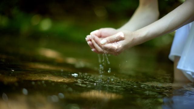 Strength in Stillness